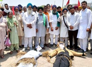 Fatehabad News