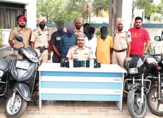 Jalandhar News