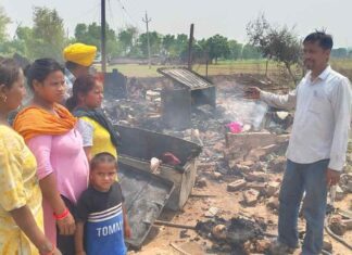 Patiala News