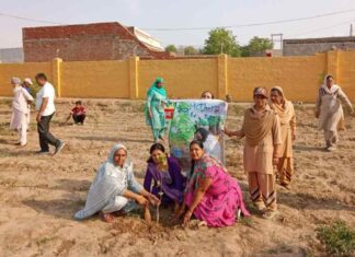 Sirsa News