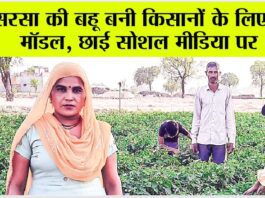 Sirsa News