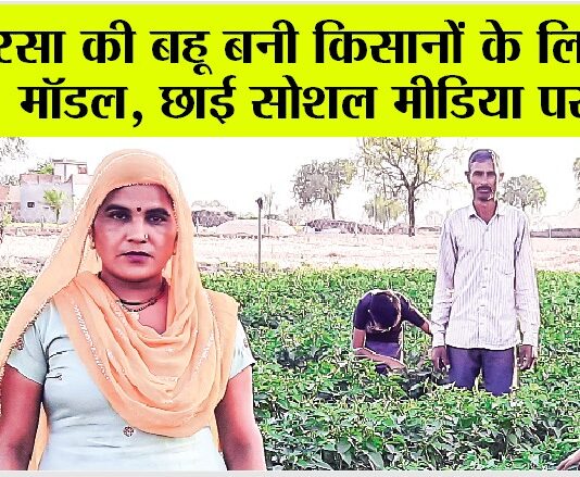 सरसा की बहू बनी किसानों के लिए रोल मॉडल Sirsa News