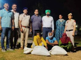 Sirsa News