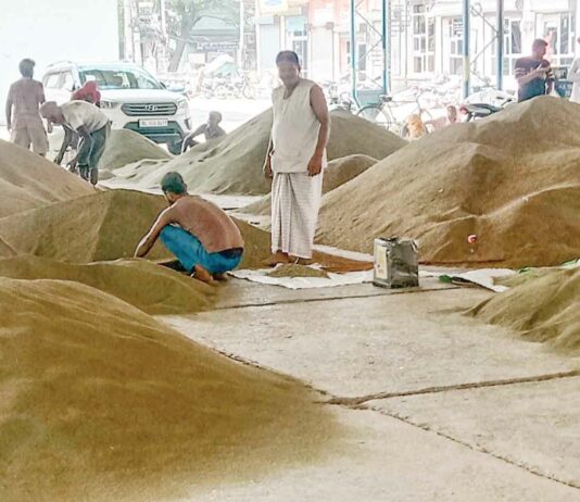 Slehri Medicine : सलेहरी औषधि की खुशबू से महक उठी लाडवा मंडी Slehri Medicine