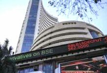 Stock Market