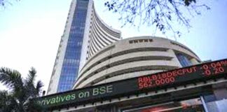 Stock Market