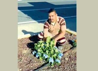 बलकार सिंह ने पौधे लगाकर जन्मदिन मनाया Tree Planting