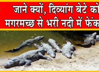 Karnataka News