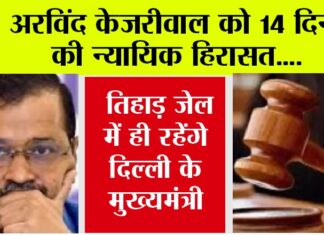 Arvind Kejriwal Custody