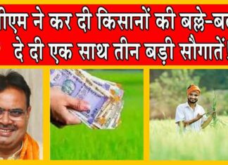 CM Kisan Samman Nidhi Scheme : सीएम ने कर दी किसानों की बल्ले-बल्ले! सीधे खातों में डालें इतने करोड़ रुपए! CM Kisan Samman Nidhi Scheme