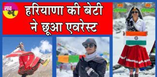 Haryana News