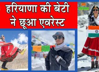 Haryana News
