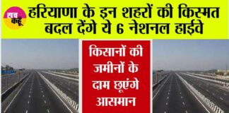Haryana News