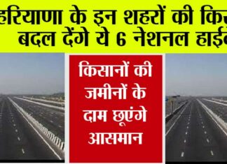 Haryana News