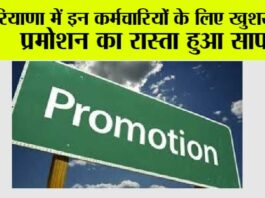 Haryana News