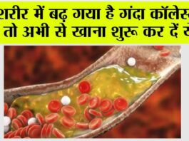 High Cholesterol Control: नसों में बैड कोलेस्ट्रॉल का जमना है जानलेवा, इन चीजों को खाकर कम कर सकते हैं कोलेस्ट्रॉल लेवल High Cholesterol Control