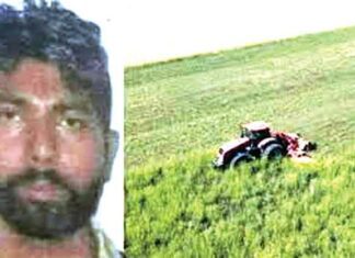 Italy News, Indian farm worker Dies