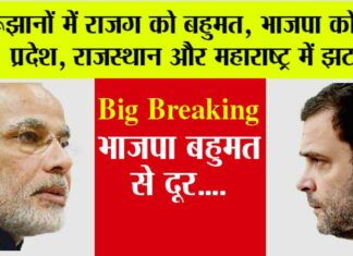 Lok Sabha Elections Result 2024