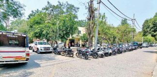Ludhiana News
