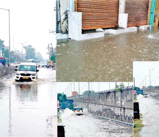Sangrur News
