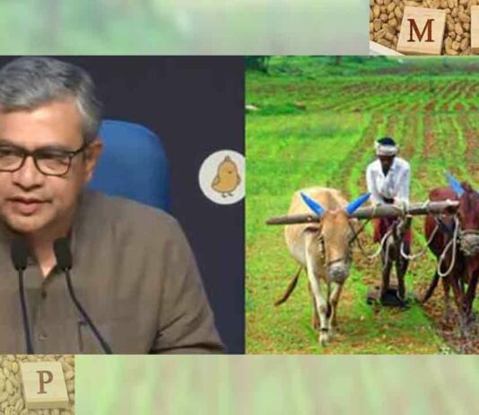 MSP: 14 फसलों का एमएसपी मंजूर, किसानों के हित में केंद्र सरकार ने लिया फैसला MSP