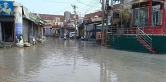 Mansa News