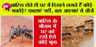 Monsoon Tips
