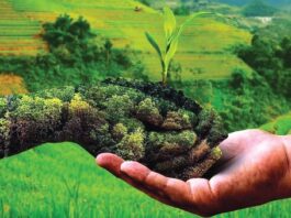 Organic Farming