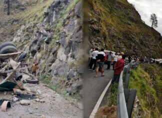 Shimla HRTC Bus Accident: शिमला में बस खाई में गिरने से 4 लोगों की मौत Shimla News