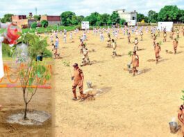 World Environment Day