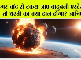 Viral News