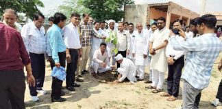 Sadulpur News