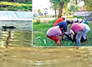 Bathinda News