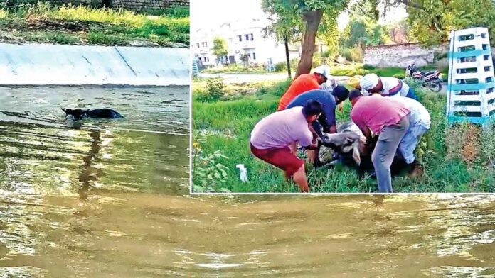 Bathinda News