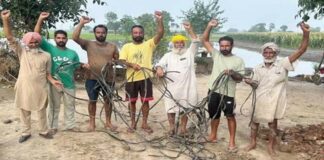 Patiala News