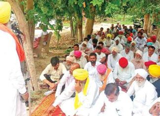 Sirsa News