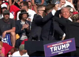 Donald Trump Latest News