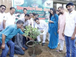 Tree Plantation : ”पीएम मोदी की ‘एक पेड़ माँ के नाम’ मुहिम से जुड़ रही है प्रदेश की जनता” Rajasthan News