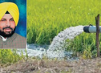 Fazilka News