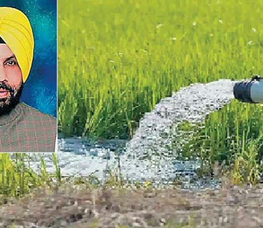 Fazilka News