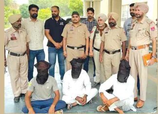 Fazilka News