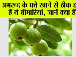 Guava leaves benefits