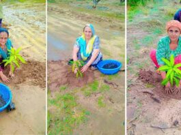 पर्यावरण संरक्षण की ओर गुजरात की साध-संगत का कदम Gujarat News