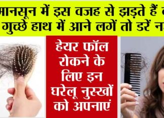 Hair Fall in Monsoon