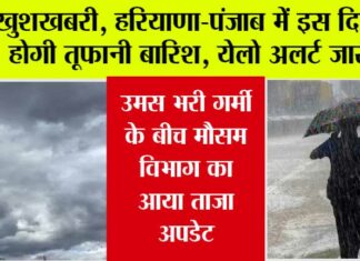 Haryana-Punjab Weather News
