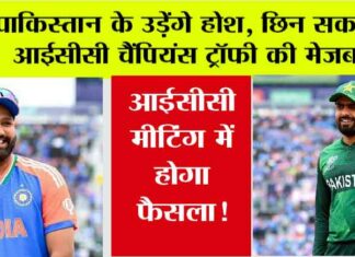 ICC News