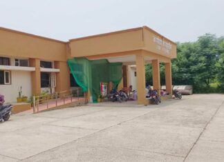 Jakhal