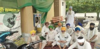 Jakhal News