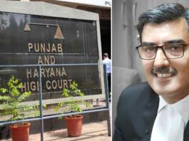 Justice Sheel Nagu