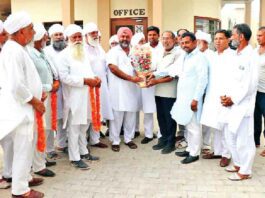 Sirsa News